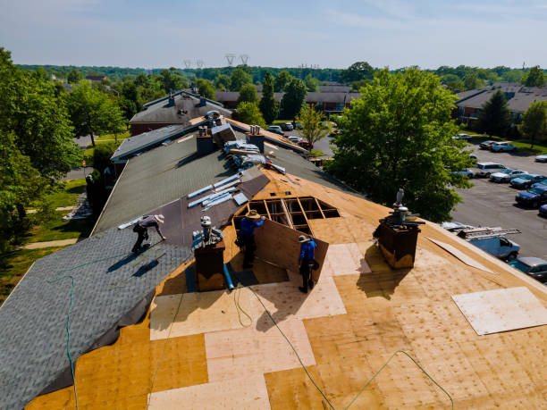 Trusted Storm Damage Roof Repair service in Sparr, FL - Brentwood Metal Roofing